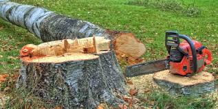 Best Arborist Consultation Services  in Roslyn, NY