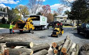 Best Tree Trimming and Pruning  in Roslyn, NY